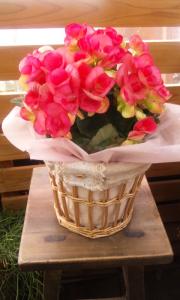 卒業式｜「つちもとガーデン」　（岐阜県土岐市の花キューピット加盟店 花屋）のブログ