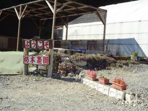 フルーツトマト狩り|「つちもとガーデン」　（岐阜県土岐市の花屋）のブログ